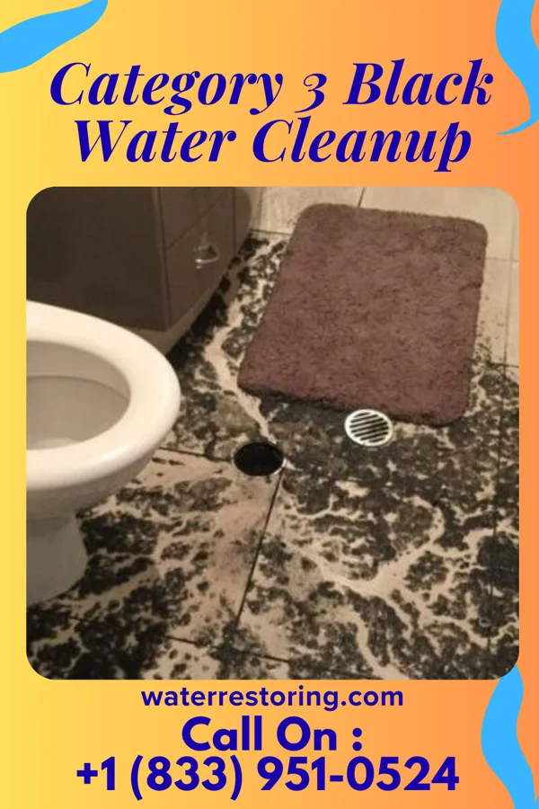 Category 3 Black Water Cleanup in Warren, OH