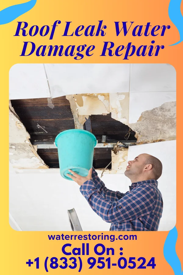 Roof Leak Water Damage Repair in Warren, OH
