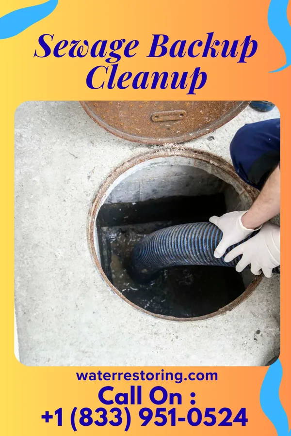 Sewage Backup Cleanup in Warren, OH