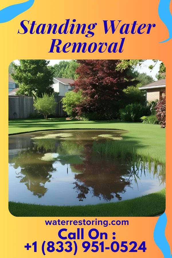 Standing Water Removal in Warren, OH